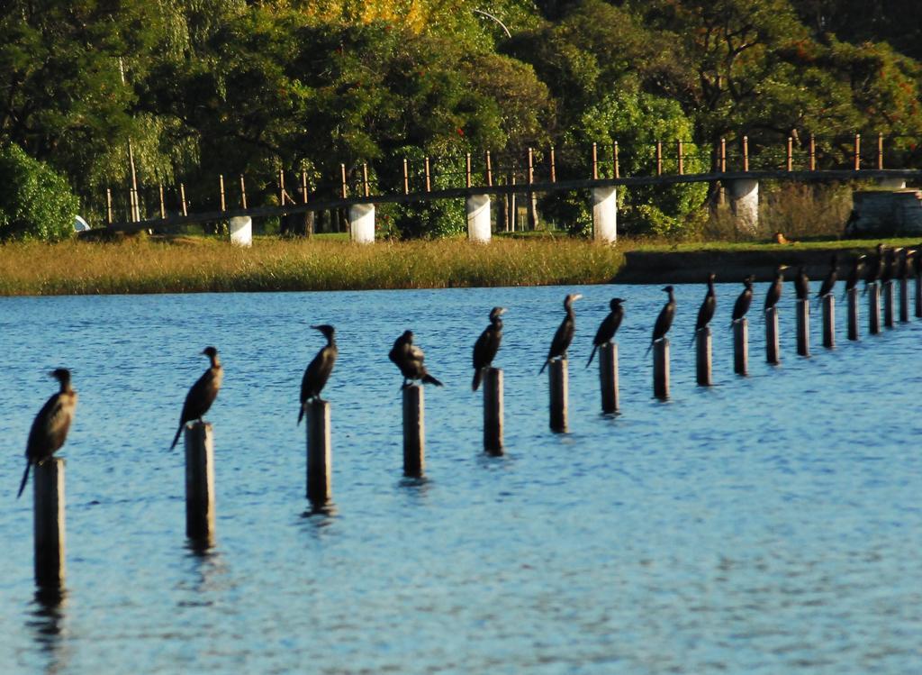 Apartamentos Laguna De Navarro Buitenkant foto
